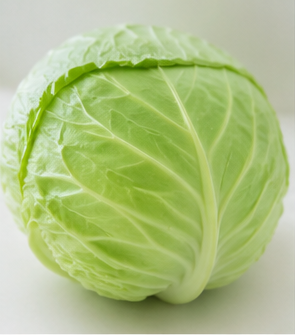羽衣甘蓝